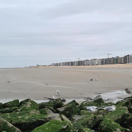Villa By The Sea In Belgium With Sunny Terrace, Cleaning Included