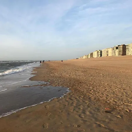By The Sea In Belgium With Sunny Terrace, Cleaning Included * Koksijde